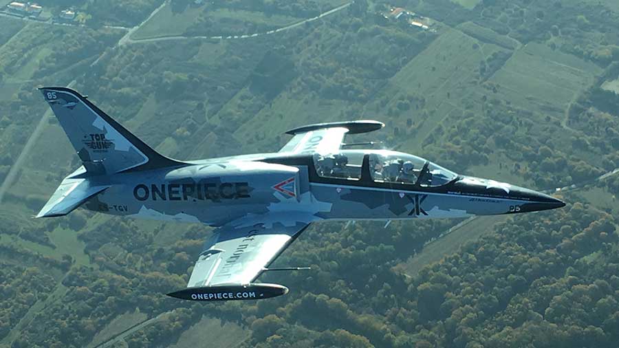 Avignon vol en avion de chasse L-39